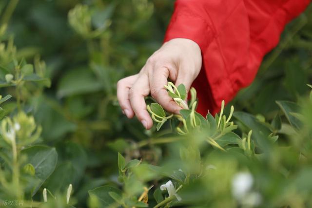 河南杀出黑马！郑州洛阳都懵了，这座小县城靠什么吸金 45 亿