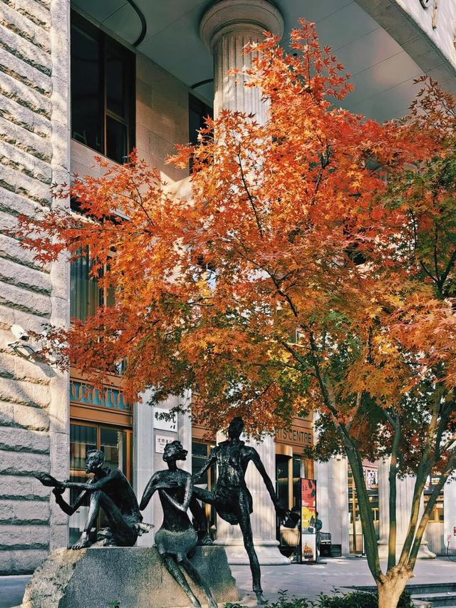 被徐汇秋天“落叶画”硬控！这就出门捡叶子去