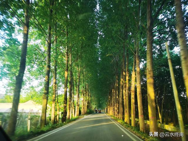 在西安这最年轻的区,山水田园人间烟火,能满足你对生活所有期望
