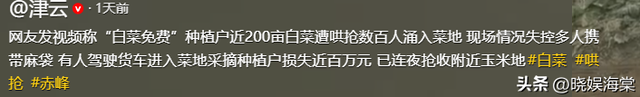200亩白菜遭哄抢后续：损失超百万，菜农发声，更过分的还在后面