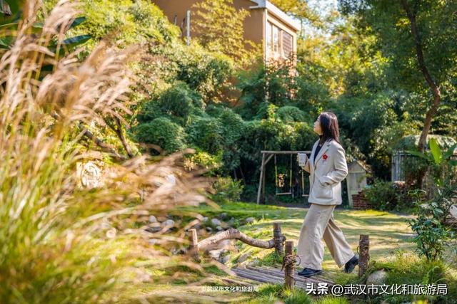 直冲20°C！武汉赏秋天花板，上新3个玩法