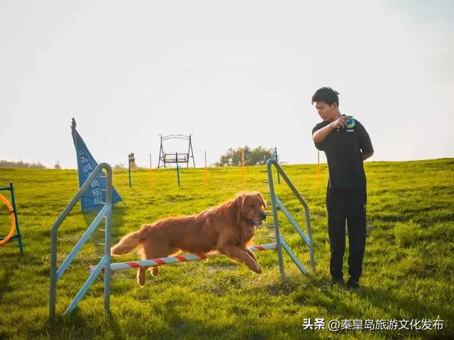 消费潜能激发:北戴河新区小众经济成增长引擎