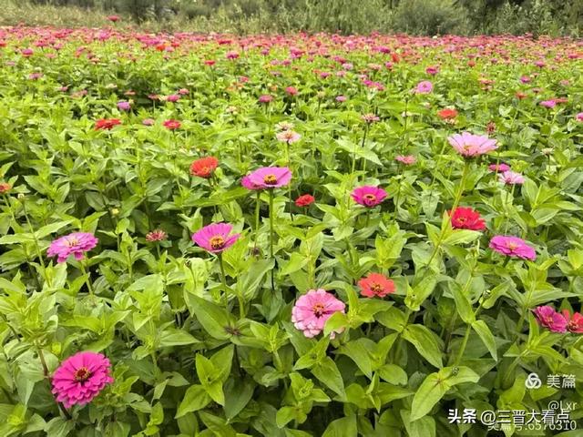 秋雨绵绵漳泽湖