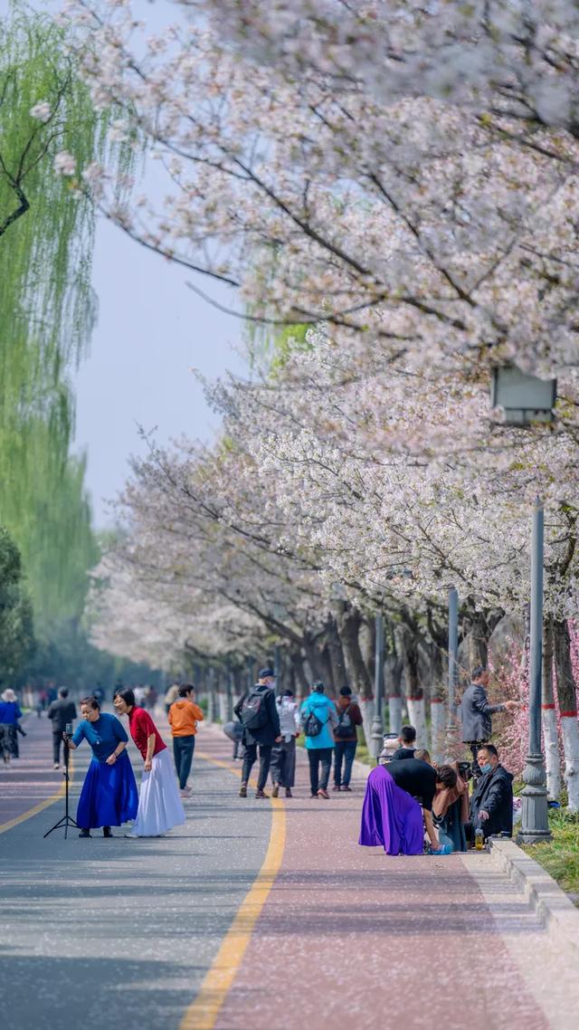太期待了！接下来的洛阳，是这样的...