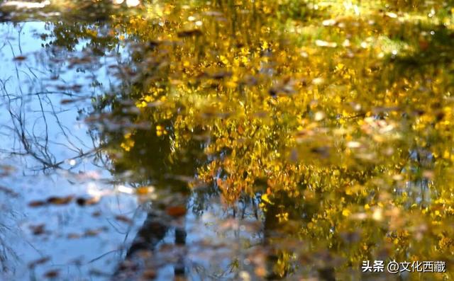 太美了！假如初冬去拉萨，请一定要来这里打卡！