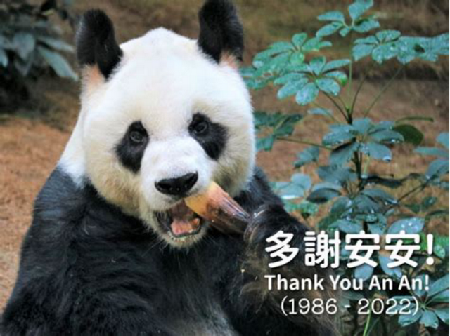 这些动物寿命都比人类长，乌龟都比不了！秘密在于……