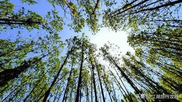 西安小众爬山线路，长安秦岭虎峪周末休闲游，公交自驾都可以