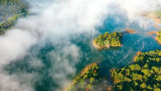 昆明多家知名景区，对他们免门票！