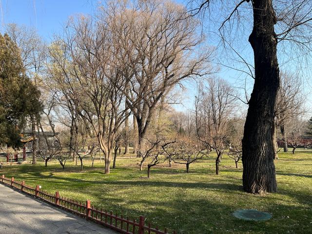 山西全境自驾游（十二天）：太原晋祠
