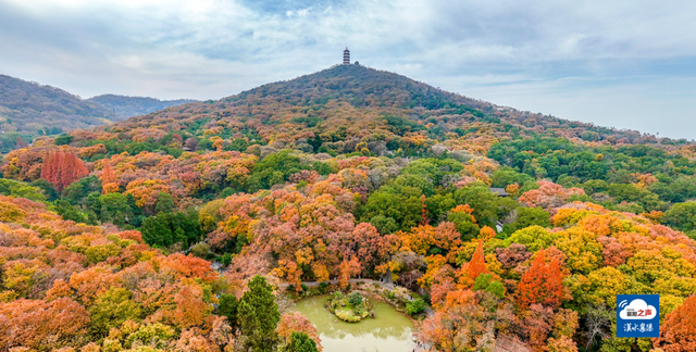 哎呀！谁打翻了襄阳“调色板”！