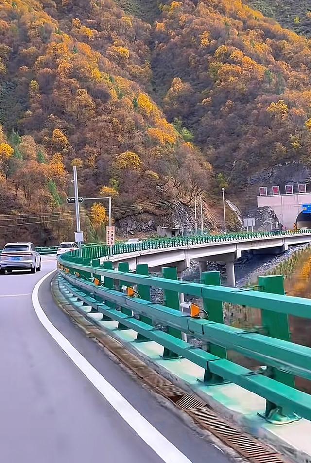 别再只知道青海湖！十月扎碾爆火：“金色隧道”藏着最动人的答案