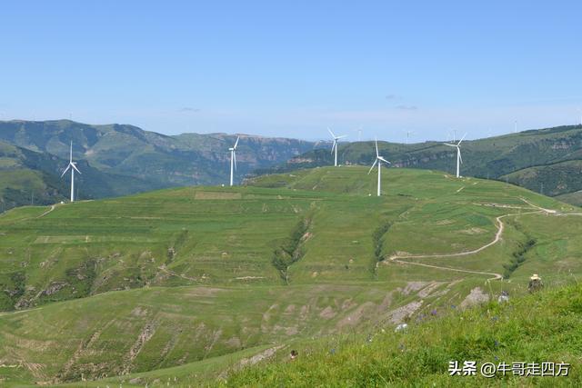 河北麻田岭（上）：绿野铺毡接云影、风轮伴路探山魂