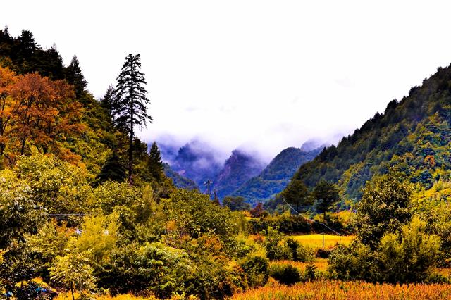 武山：五彩秋日胜春朝