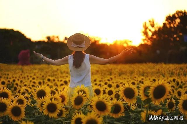 相约向阳花海，做一朵灿烂的向日葵