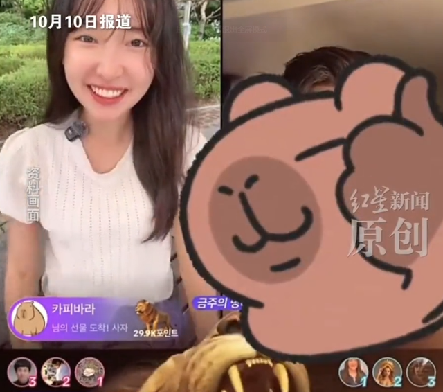 22岁女网红被杀，50岁榜一大哥被捕，钱都是借的，打赏文化太危险