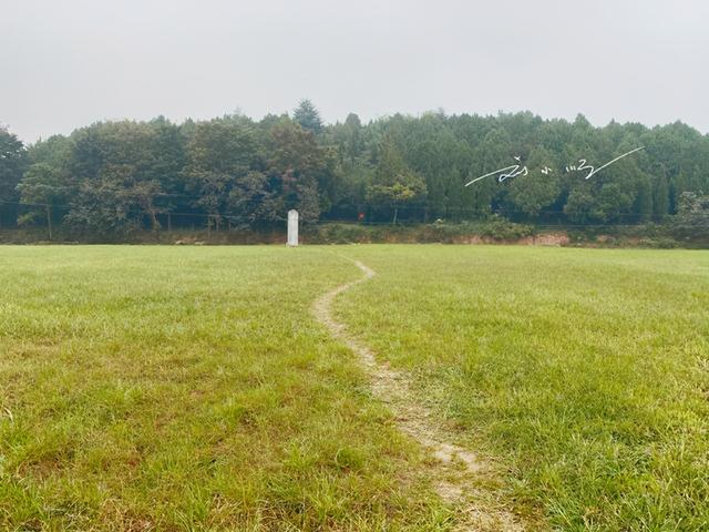 陕西“最不起眼”的皇帝陵墓，竟然藏在农田里？