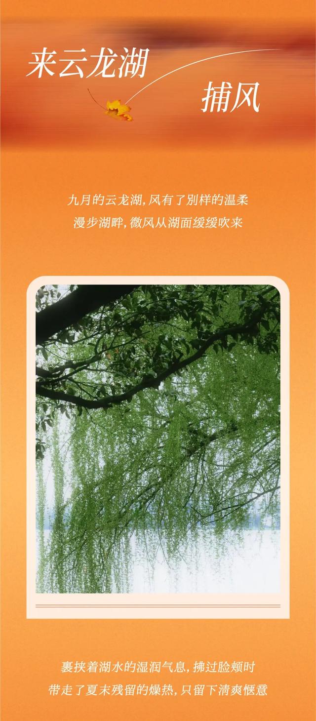 来云龙湖“捕风追影”：感受不一样的湖光秋色