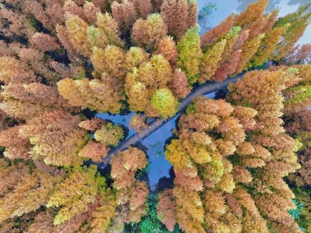 秋假去哪？崇州这些亲子游宝藏地不容错过