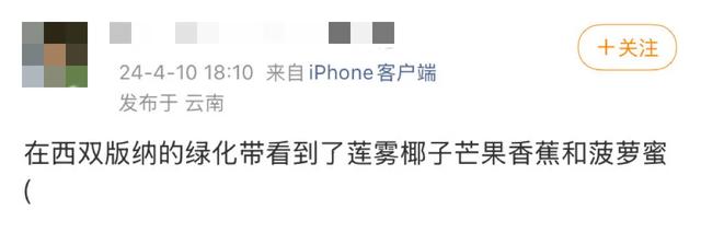 这可能是我买过的最离谱的特产: