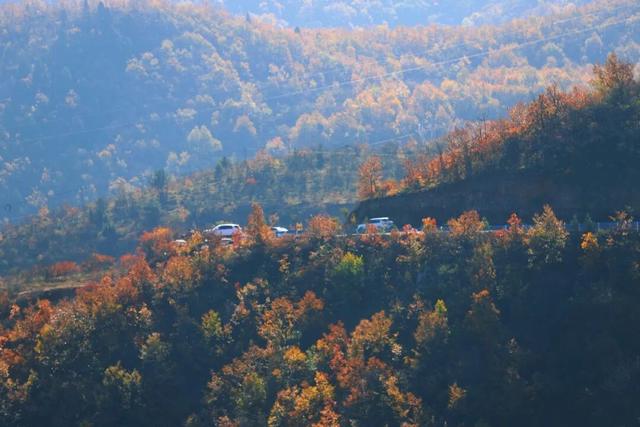 渑池坡头红叶拍摄记：一场迟来的秋日邂逅