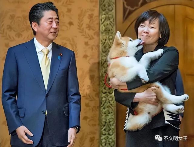 61岁安倍昭恵：丈夫遇刺后搬离婆家，种地疗伤，常去安倍坟前上香