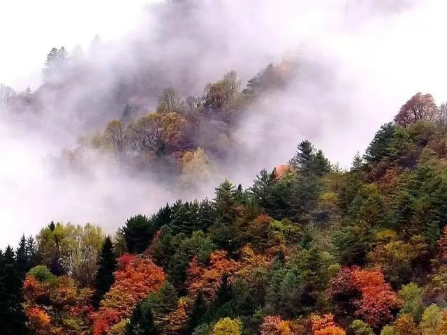 初秋官鹅沟：水清山染、静候君来
