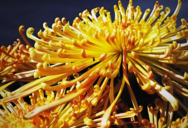 今日重阳节，牢记“1不说，2不忘	，3不动，4不送”，不是迷信！