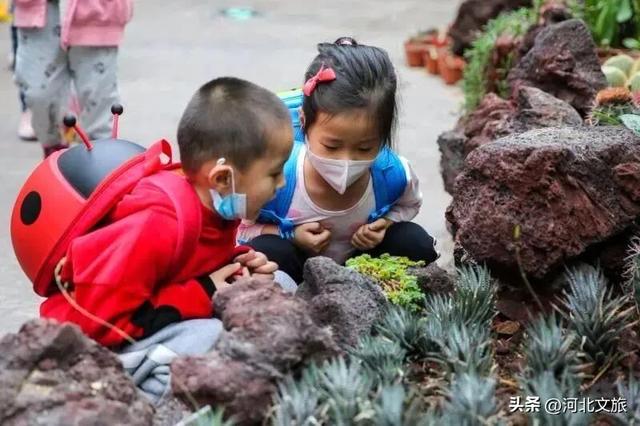 你知道吗？去唐山南湖这些地方，可以抄近路～