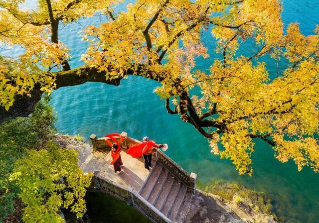 图说中国|赴一场初冬之约，在暖阳里收藏美好时光