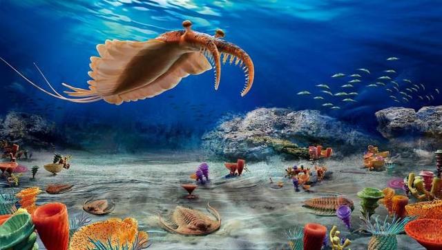 地球曾变成巨型冰球？寒武纪生命大爆发，揭露亿万年前的绝境翻盘