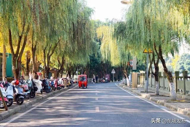 你好 东坡！| 明月路：邂逅一条湖光浸润的诗意长廊