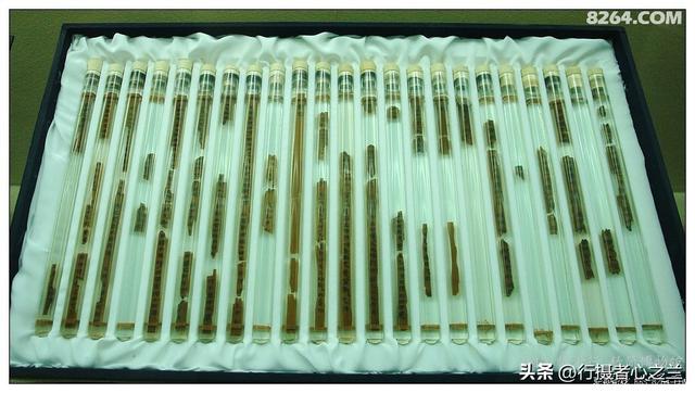 山东行游影记（53）—银雀山汉墓竹简博物馆（四）
