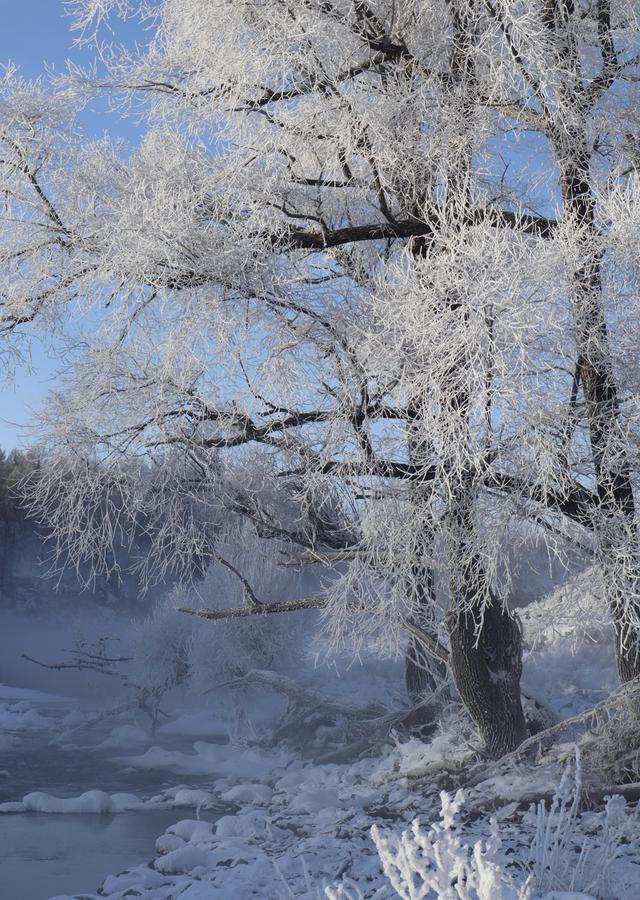 阿尔山的冬天：不冻河热气蒸腾、雾凇挂满林海，每走一步都是浪漫