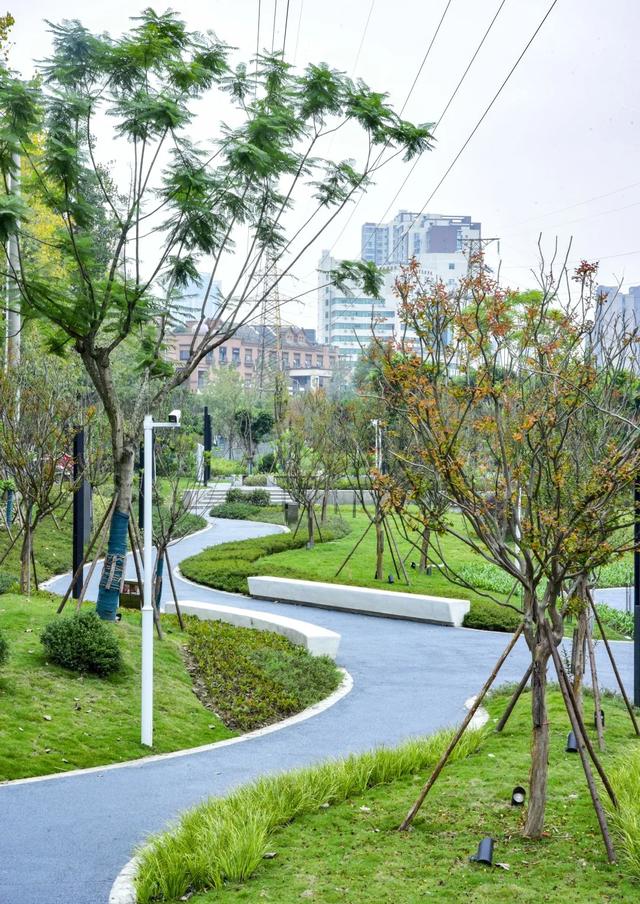 初冬色彩+N!街角美得藏不住→