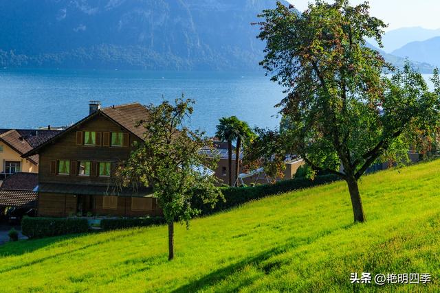 欧游杂记（5）‖ 齿轮火车几上几下瑞吉山，缆车凌空飞跃韦吉斯