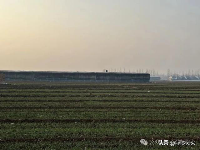 冠县乡韵·清水镇后井寨村