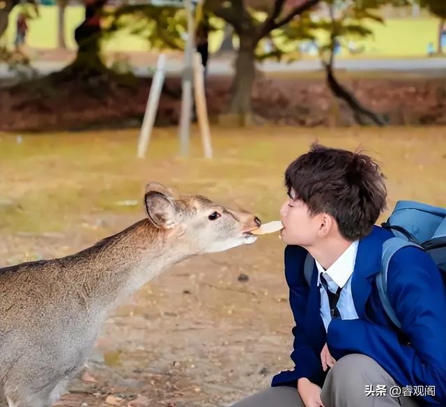 别让照片定义旅行！为出片赌上安全，跳出怪圈，才懂旅行真正快乐