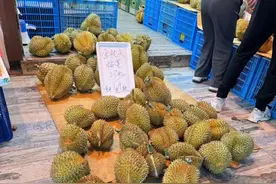 价格狂降！温州人爱吃的这种水果大量上市图片