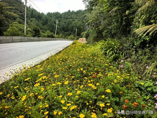 路美业兴！G318利川段70公里“美丽公路”焕新颜