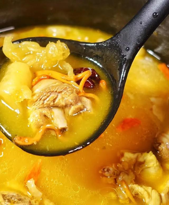 猪肚花胶陈皮鸡汤 2026年猪肚煲鸡花胶