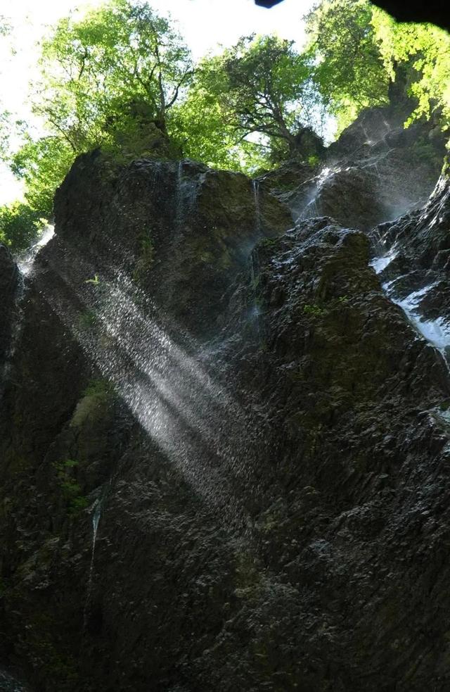七月的官鹅沟在22℃的满目葱茏中，与焦虑和解~