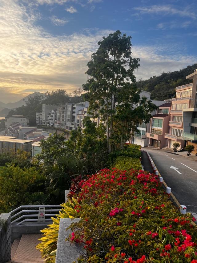 澳门大变局！路环突然爆红，氹仔老城集体看懵～