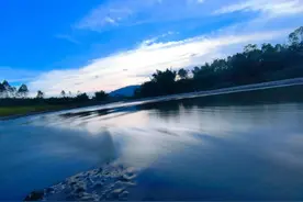 每日学一字: 莘图片