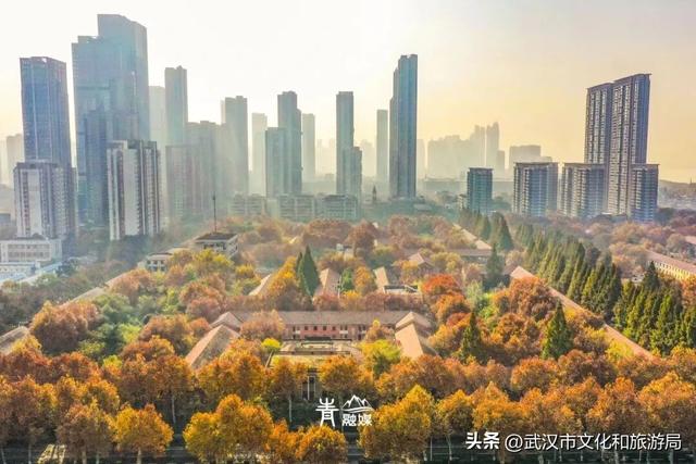 大降温后，青山最美冬景即将上线！