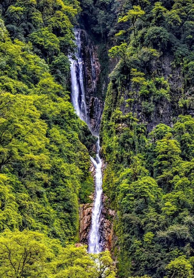 墨脱温泉沁人心脾，人下去切肤入骨，有飘飘欲仙之感