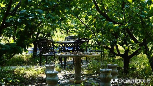 又见奇村 | 你知道吗？南高藏着一个“窑洞秘境”！