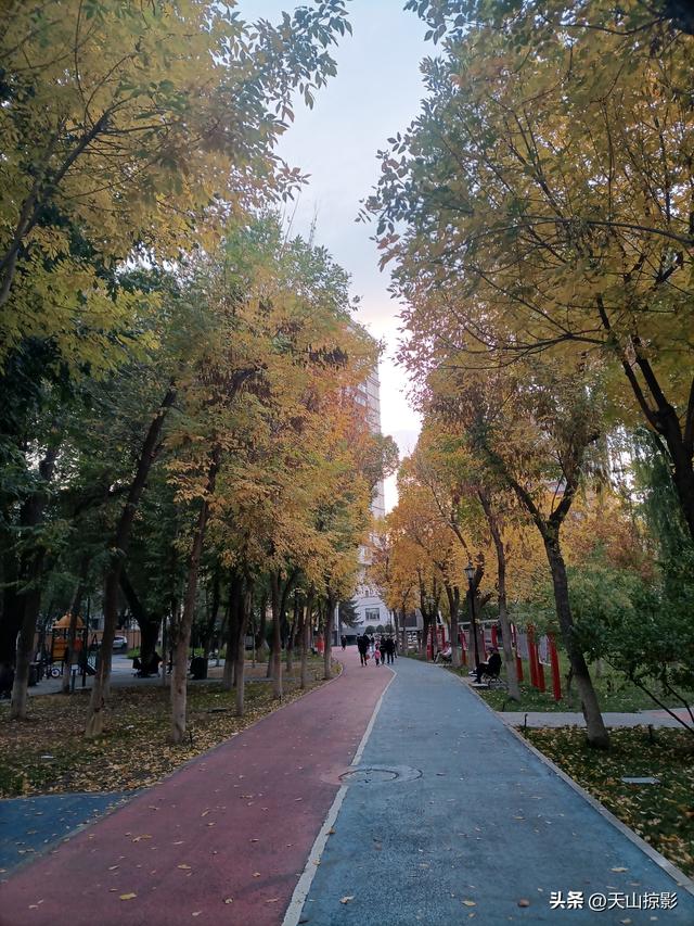踏秋