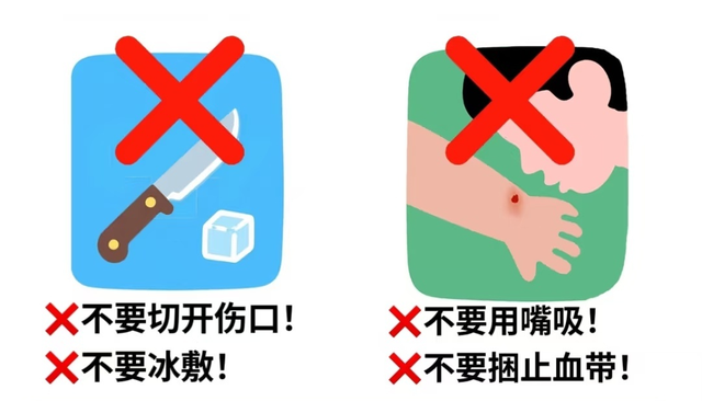 大理夏季防蛇攻略请查收