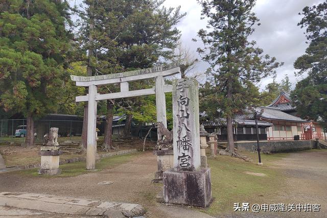 日本奈良：漫步若草山