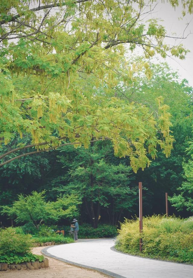 好消息，宿迁又一免费新公园，火了！好玩又好逛，去了，还想去！